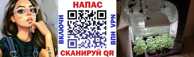 Где можно купить наркотики Майкоп Бошки Шишки А ПВП Вейп ТГК КОКАИН МЕГА как войти ГАШИШ