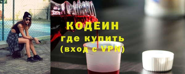 спиды Бородино