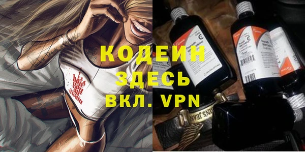 спиды Бородино